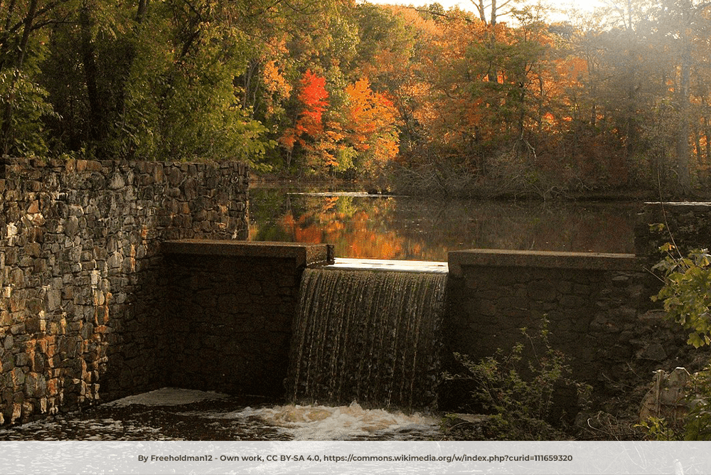 Davidson's Mill Pond on the Lawrence Brook