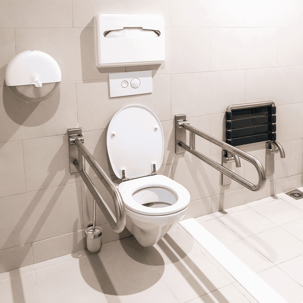 Accesible bathroom with handlebars