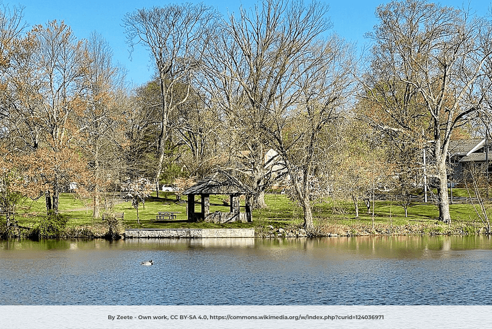 Cedar Brook Park